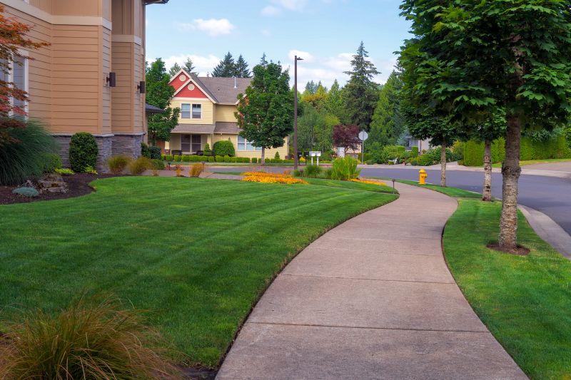 Sidewalk Paving in Fort Collins, CO